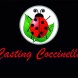 Casting attori attrici - immagine 1