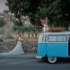 Maggiolino cabrio bianco - immagine 3