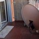 Parabola decoder satellit - immagine 5