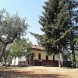Casale a Maroglio - immagine 2