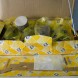 Kit canne e pistoni R4/5 - immagine 1