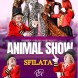 Animal show - immagine 1