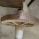 Antica Ruota in legno - immagine 4