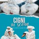 Cigni in scena - immagine 1