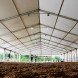 Tendostruttura Nuova25x50 - immagine 2